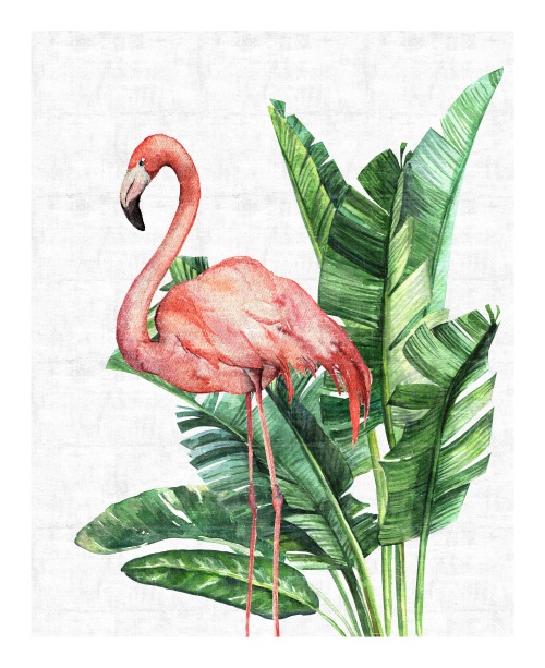 Tropical Flamingo II