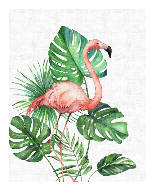 Tropical Flamingo I