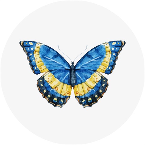 Butterfly Specimen VIII