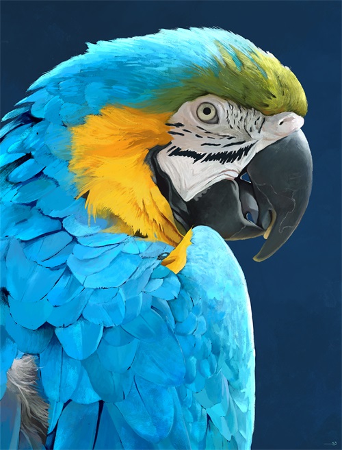 Parrot