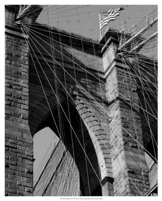 Bridges of NYC III